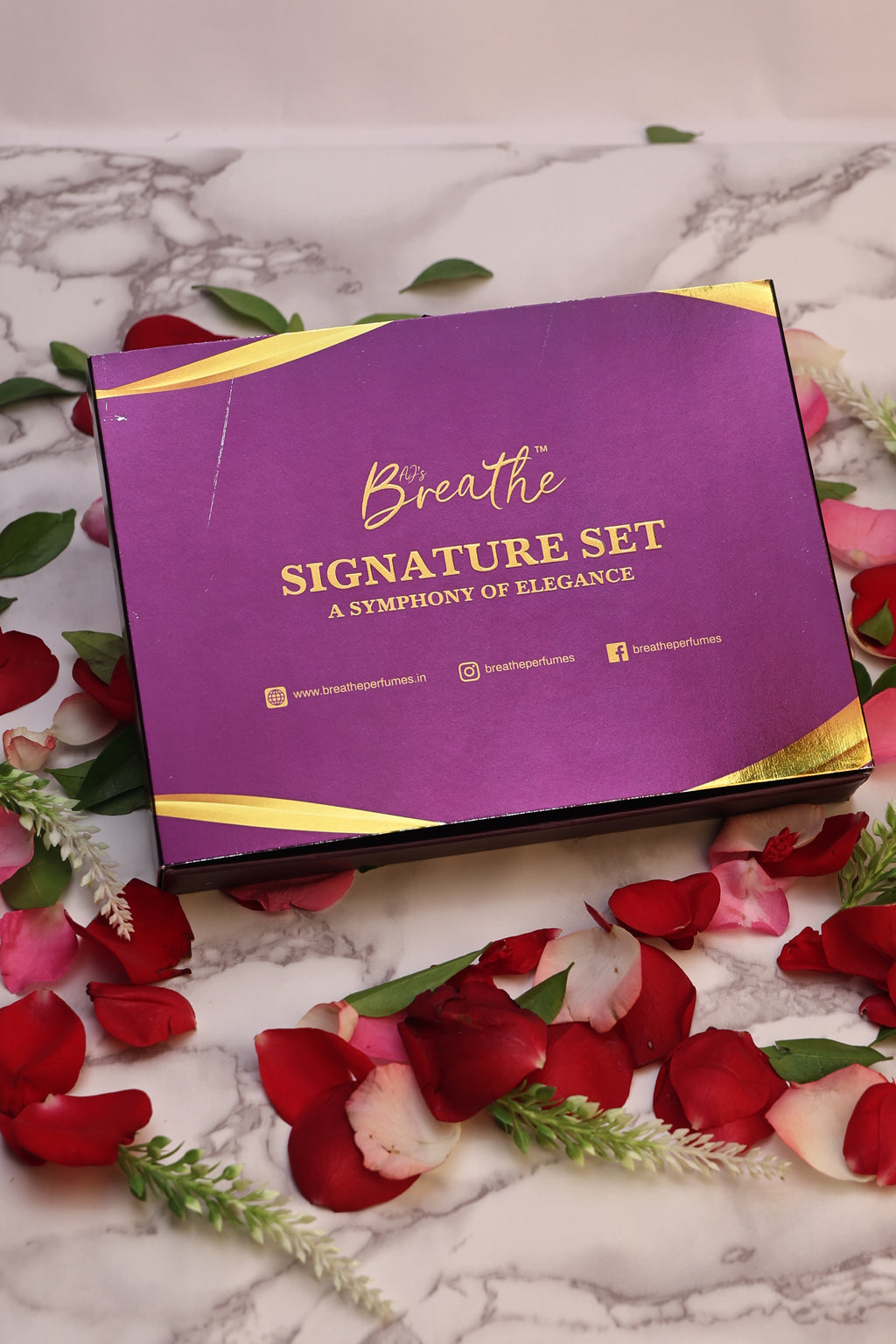 SIGNATURE SET 15ML X5